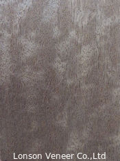Ξύλινο χρώμα 603 μέσος καπνισμένος καπλαμάς ISO9001 καπλαμάδων Makore φύλλων πορτών