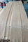 Ακατάτακτη AAA Φαλερί ξύλου ελμού Crown Cut Φαλερί πάχους 0,45 mm