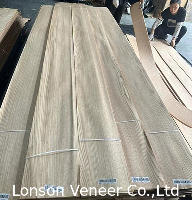 Επικεφαλής της Εταιρείας