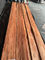 Η κόκκινη Apple 12CM υγρασία καπλαμάδων 12% ξύλου γραφείου ισχύει για τα έπιπλα