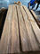 Teak 0.20MM φυσική Βιρμανία ξύλινη χρήση γραφείου υγρασίας καπλαμάδων 12%