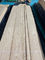 Το επίπεδο Cricut έκοψε το ξύλινο μήκος 250cm καπλαμάδων σίδηρος στο δρύινο καπλαμά 0.45mm πλάτος