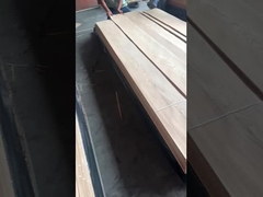 Λευκή βελανιδιά